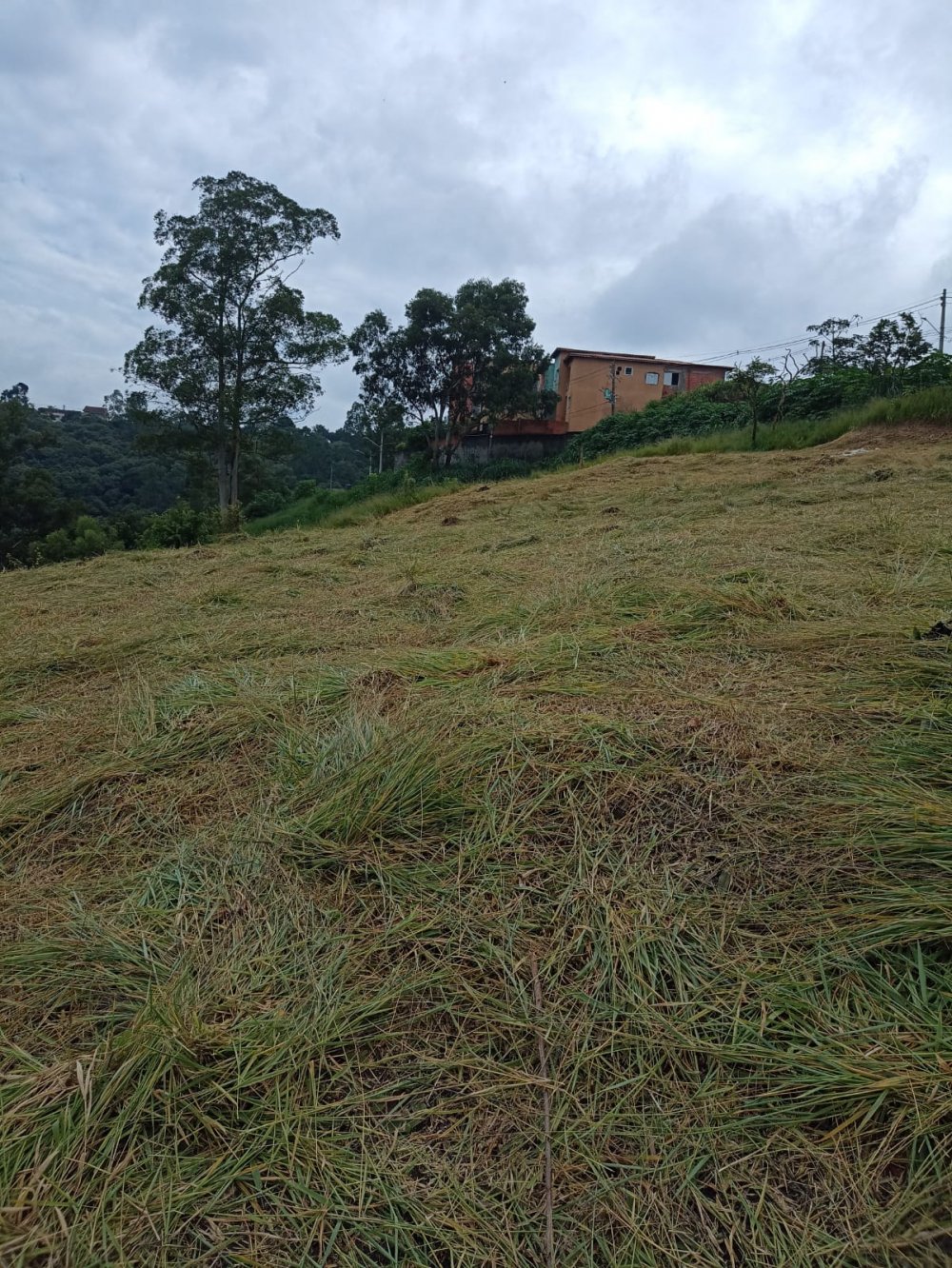 Terreno - Venda - Jardim Araruama - Cotia - SP