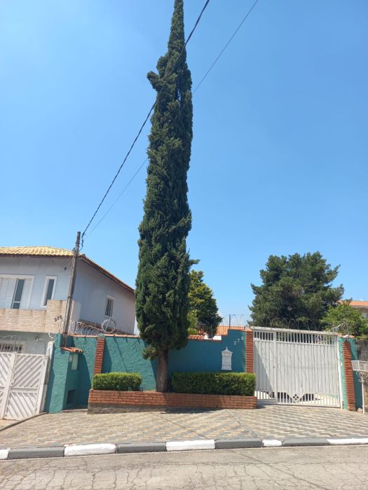 Sobrado - Venda - Jardim dos Ipês - Cotia - SP